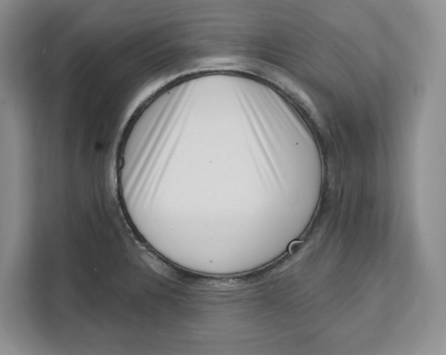 X0000111621328200908071343