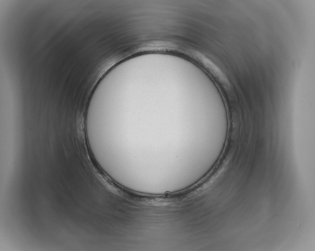 X0000111621329200908071343