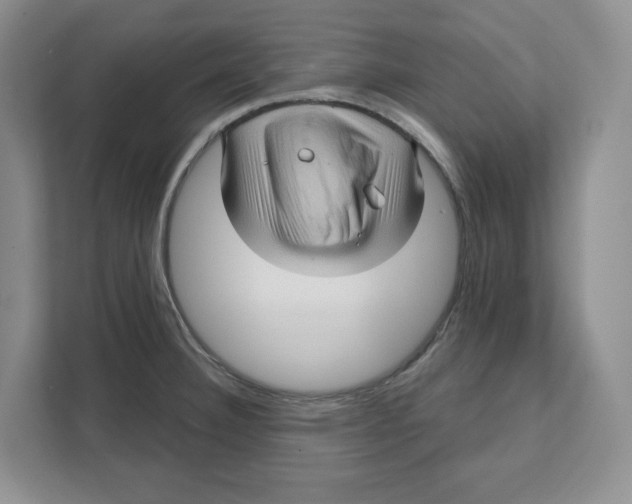 X0000111621332200908071343