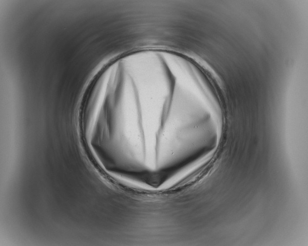 X0000111621333200908071343