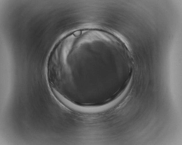 X0000111621334200908071343