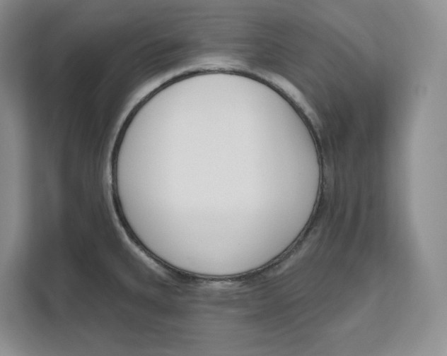 X0000111621335200908071343