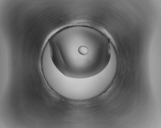 X0000111621336200908071343