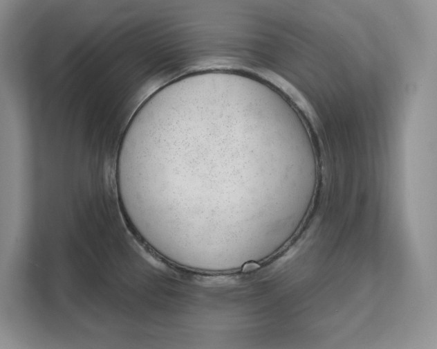 X0000111621337200908071343