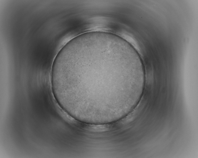 X0000111621338200908071343