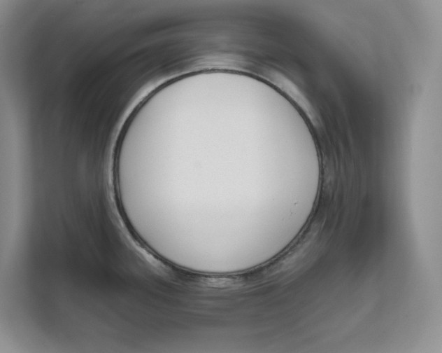 X0000111621339200908071343