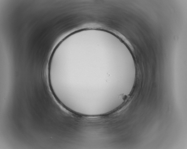 X0000111621343200908071343