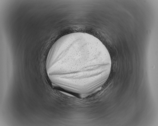 X0000111621345200908071342