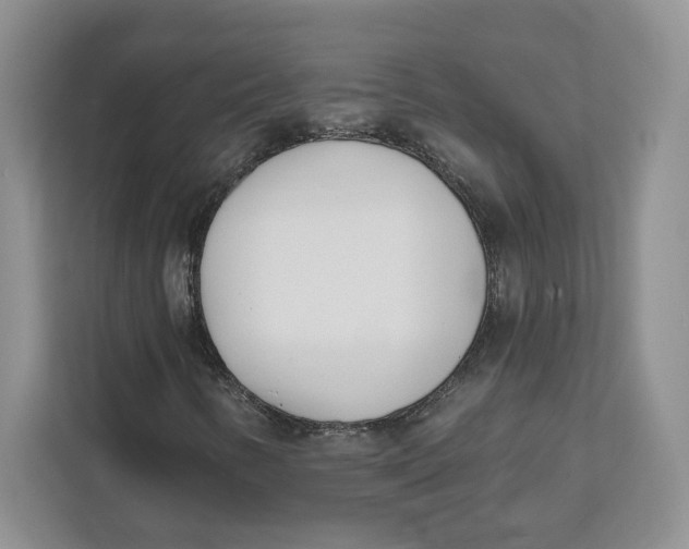 X0000111621346200908071342