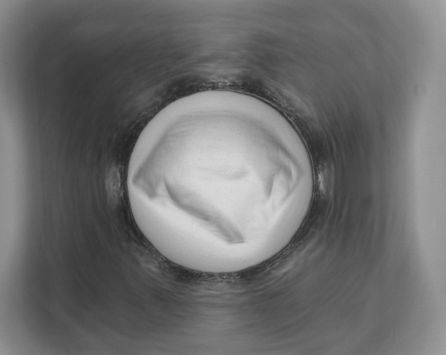 X0000111621347200908071342