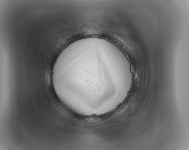 X0000111621348200908071342