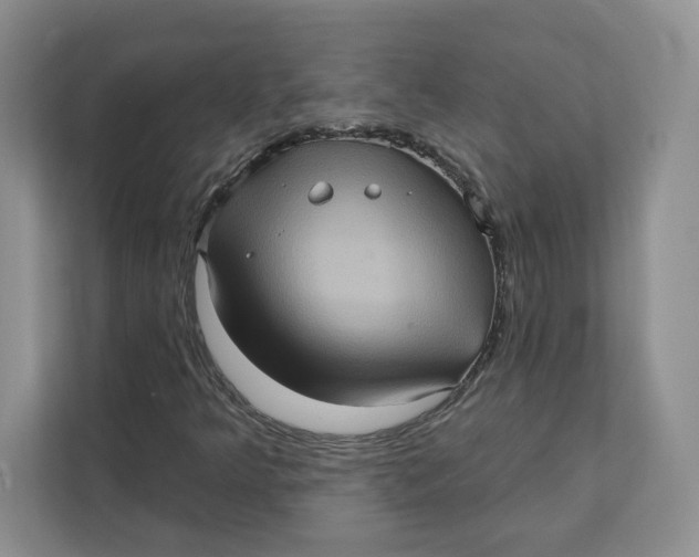 X0000111621349200908071342