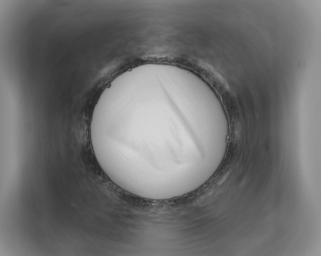 X0000111621350200908071342