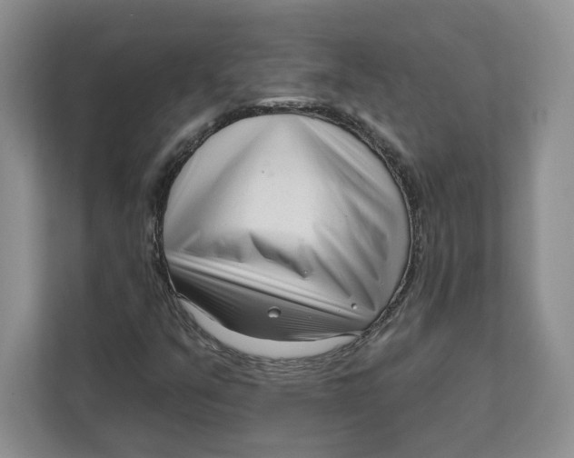 X0000111621351200908071342