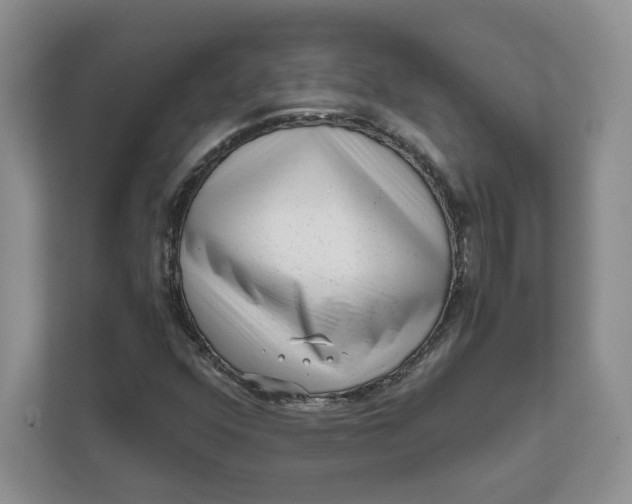 X0000111621352200908071342