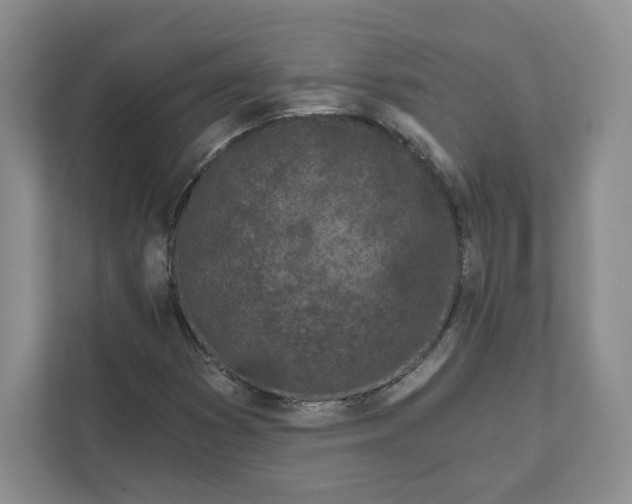 X0000111621353200908071342