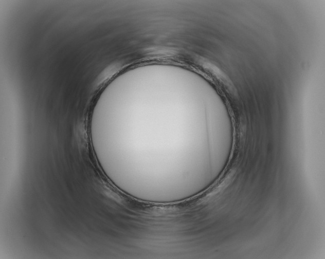 X0000111621354200908071342