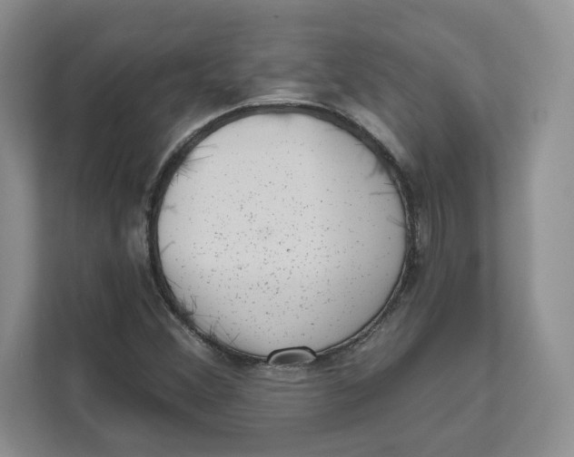 X0000111621356200908071342