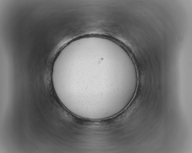 X0000111621359200908071342