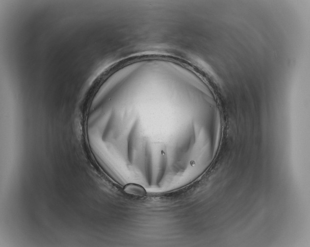 X0000111621360200908071342