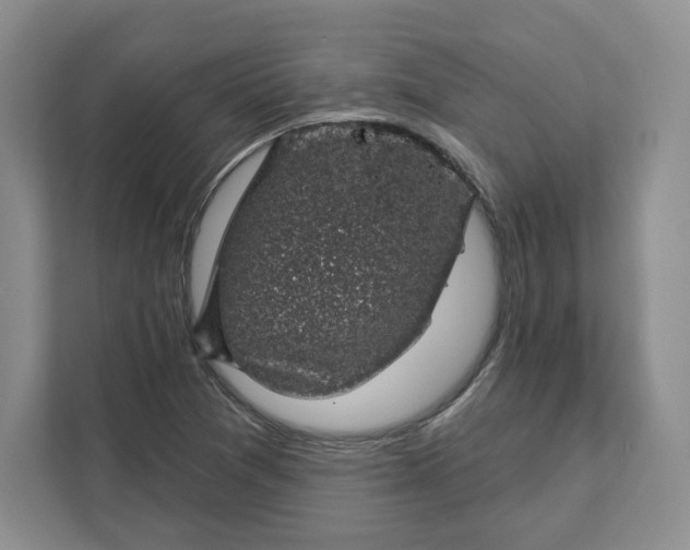 X0000111621361200908071342