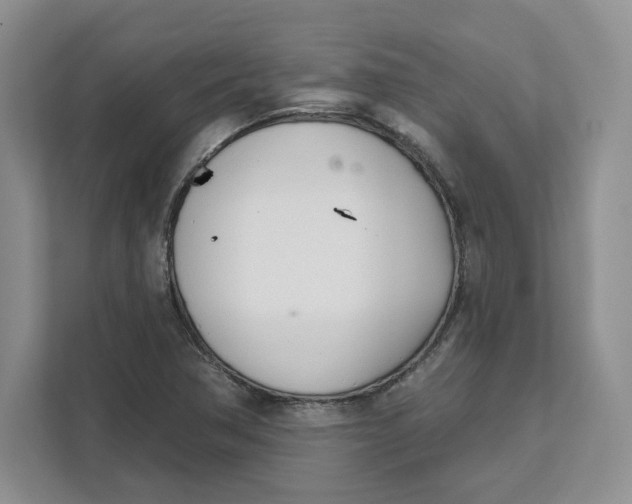 X0000111621362200908071342