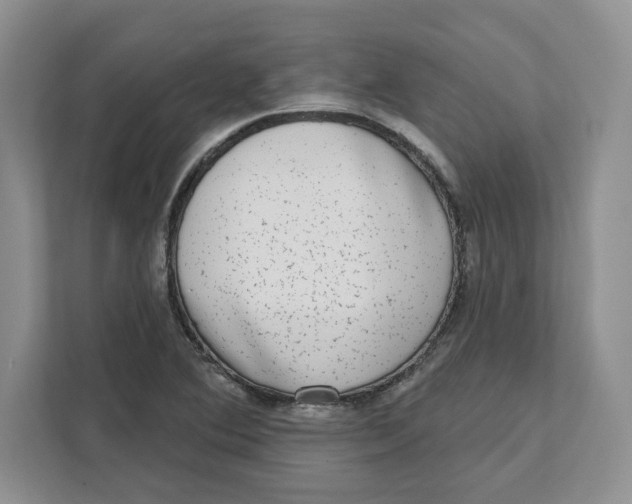 X0000111621364200908071342