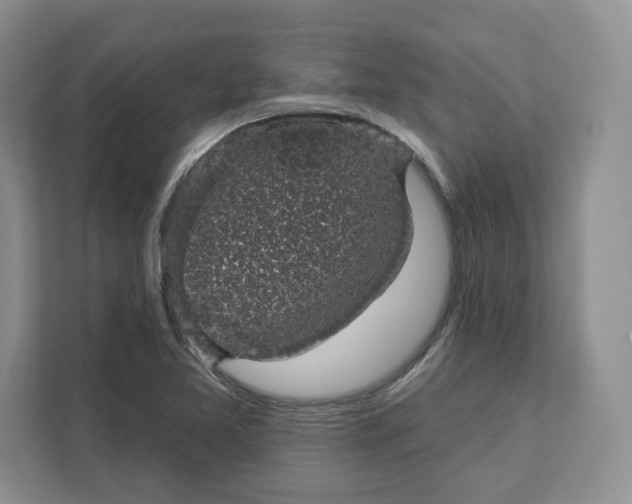 X0000111621365200908071342