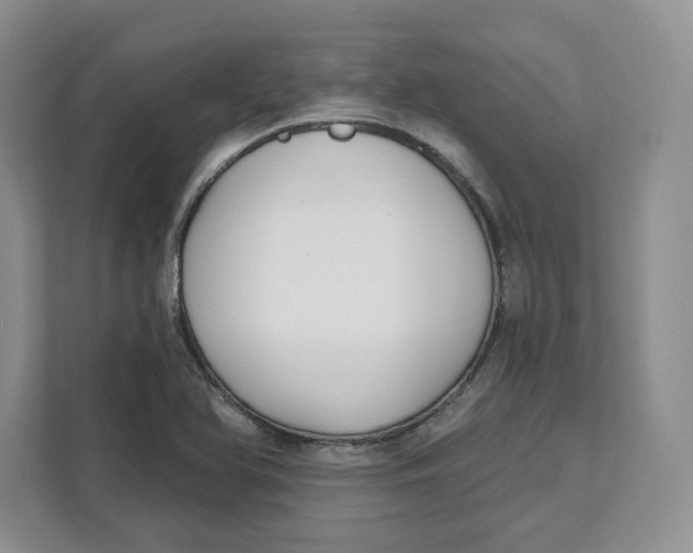 X0000111621366200908071342