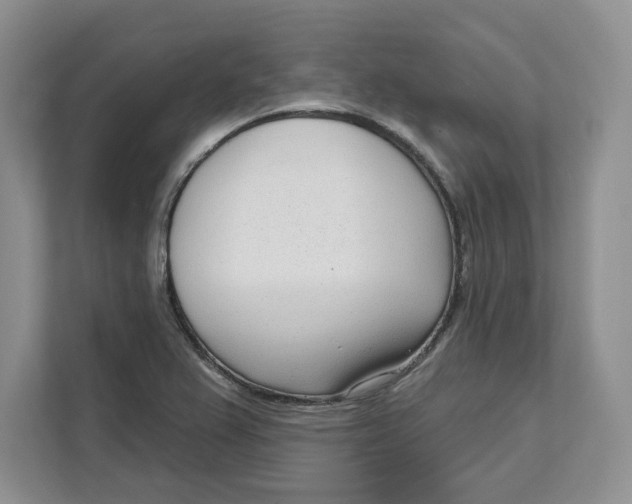 X0000111621367200908071342