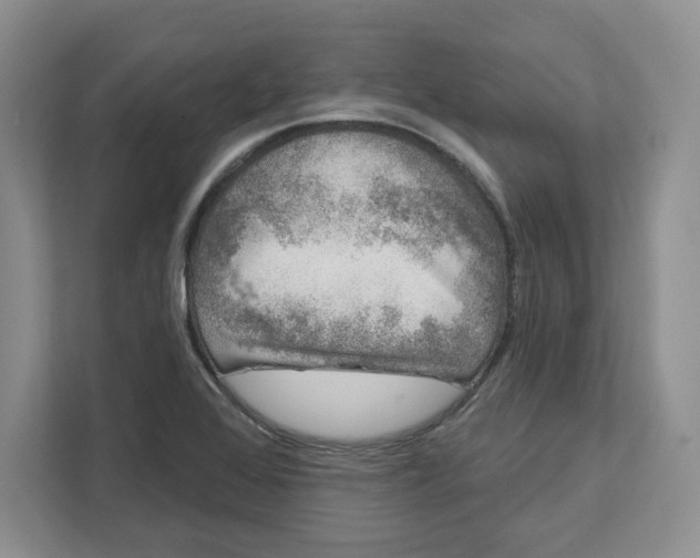 X0000111621368200908071342