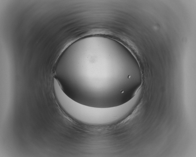 X0000111621369200908071342