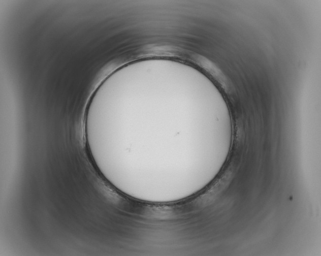 X0000111621370200908071342