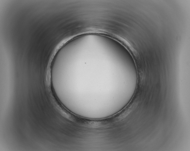 X0000111621371200908071342