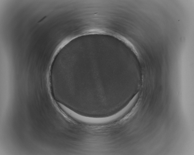 X0000111621373200908071342