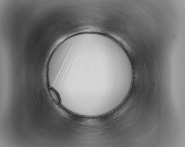 X0000111621375200908071342