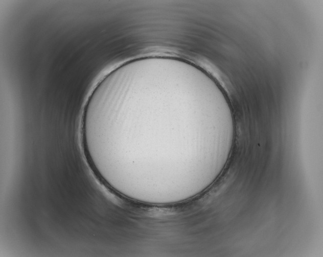 X0000111621379200908071342