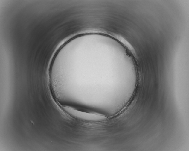 X0000111621380200908071342