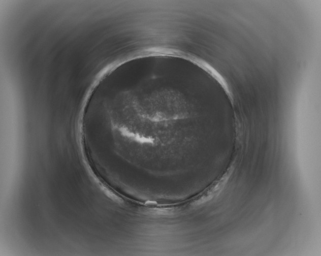 X0000111621381200908071342