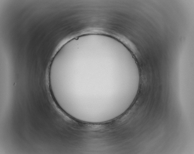 X0000111621382200908071342