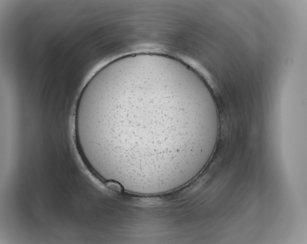 X0000111621383200908071342