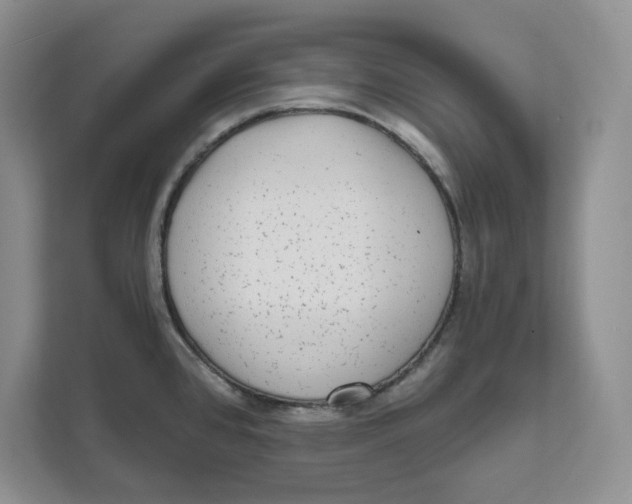 X0000111621384200908071342