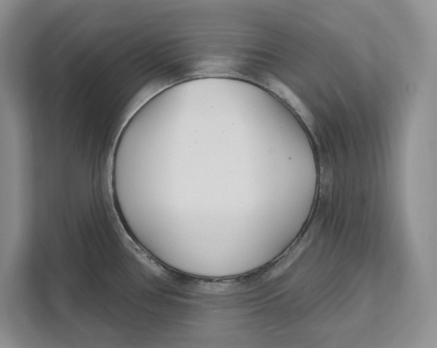 X0000111621386200908071342