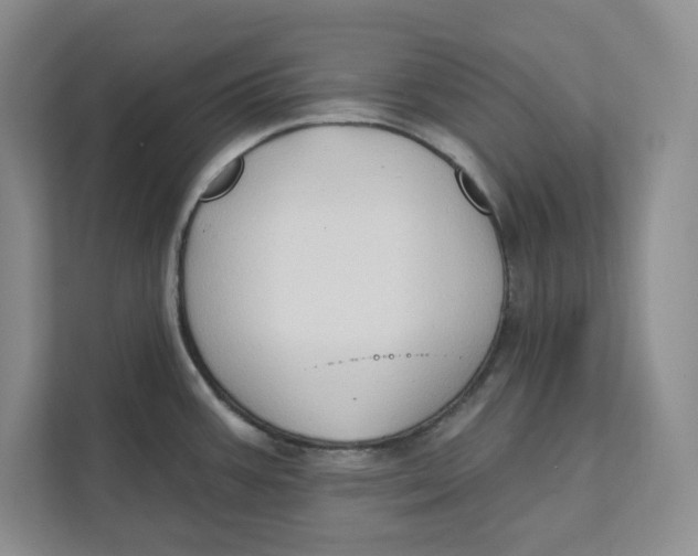 X0000111621387200908071342