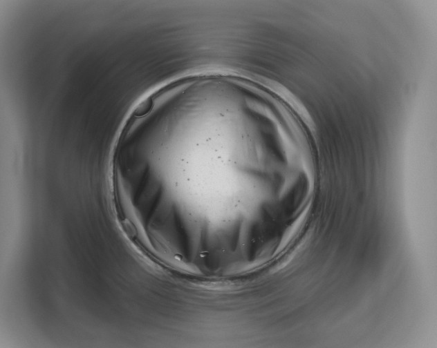 X0000111621388200908071342