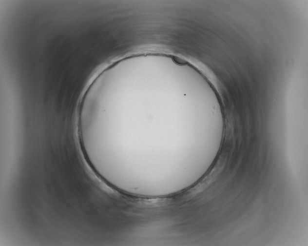 X0000111621390200908071342