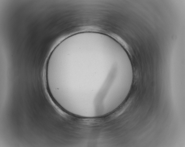 X0000111621391200908071342