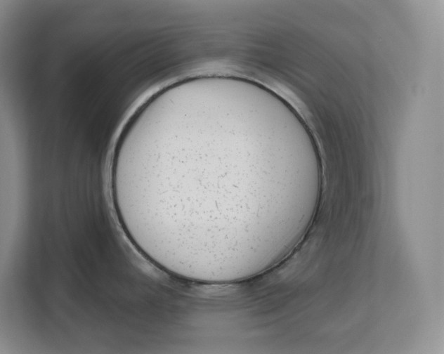 X0000111621392200908071342