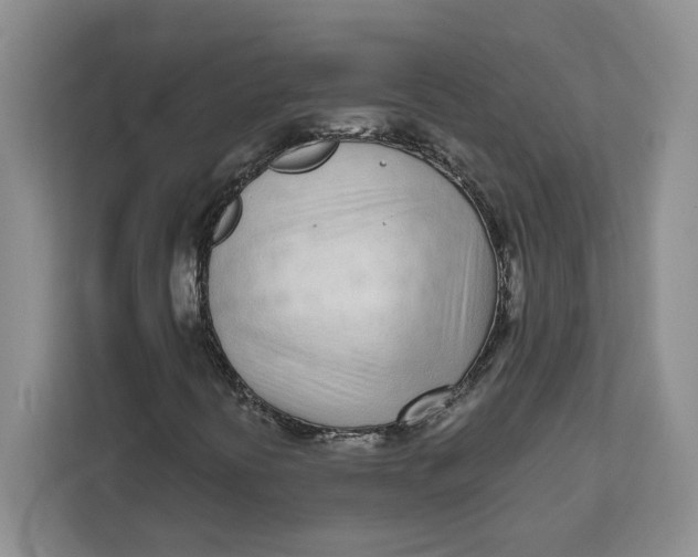 X0000111621394200908071341