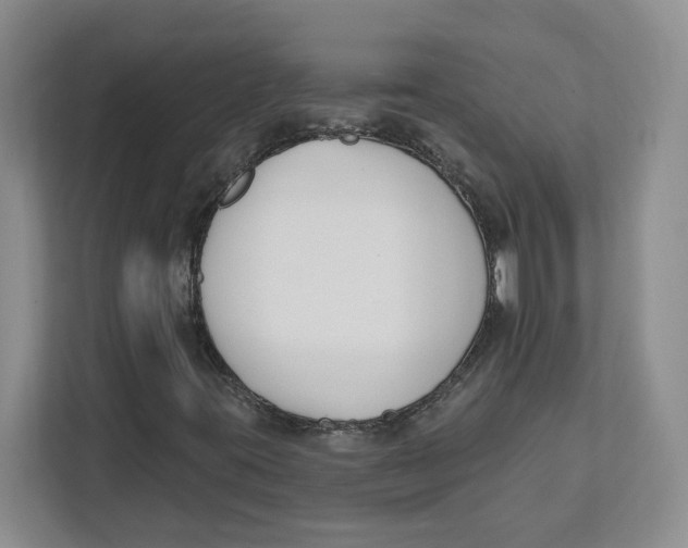 X0000111621395200908071341